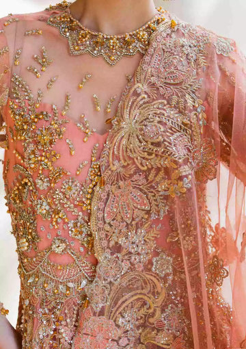 Elaf Premium EEW-03 Layla Evara Chapter 2 Wedding Collection Online Shopping